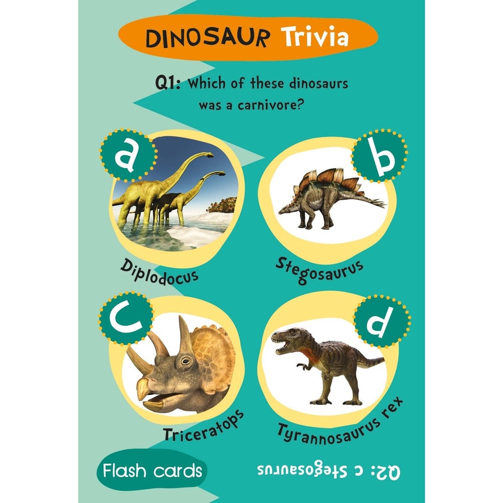 Flash Cards - Dinosaur Trivia 3