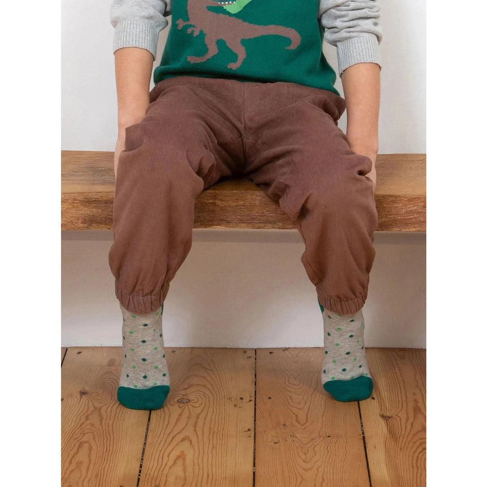 Dino Socks 4