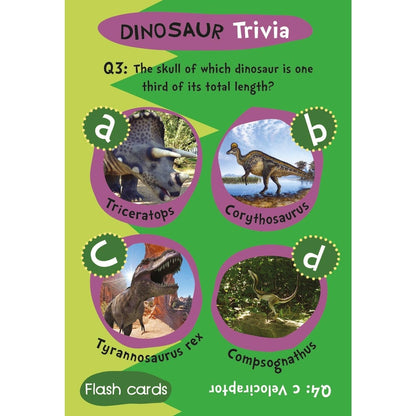 Flash Cards - Dinosaur Trivia 4