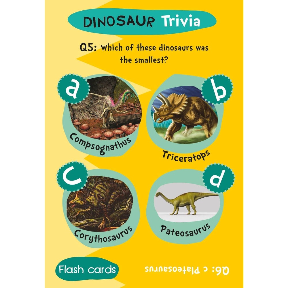 Flash Cards - Dinosaur Trivia 5