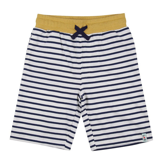 Dizzy Dinosaur/Stripe Shorts 2